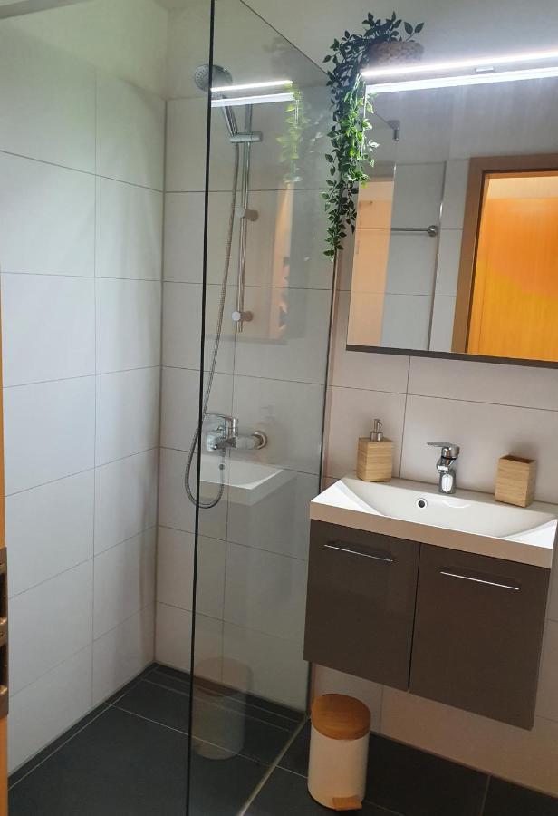 Modernisierte Ferienwohnung Naturseelen Mit Schwimmbad Und Sauna Braunlage Luaran gambar
