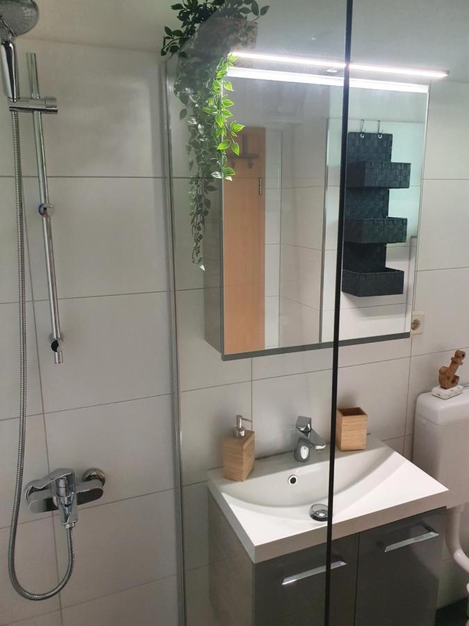 Modernisierte Ferienwohnung Naturseelen Mit Schwimmbad Und Sauna Braunlage Luaran gambar