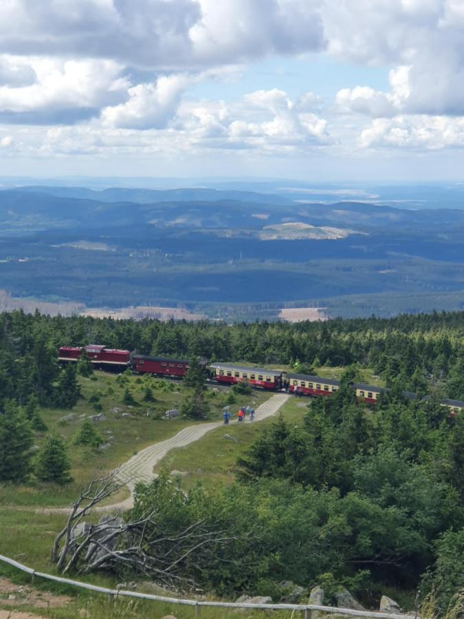Modernisierte Ferienwohnung Naturseelen Mit Schwimmbad Und Sauna Braunlage Luaran gambar