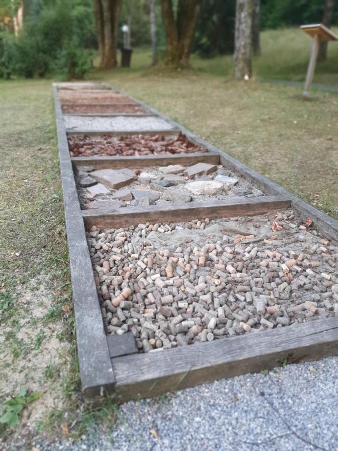 Modernisierte Ferienwohnung Naturseelen Mit Schwimmbad Und Sauna Braunlage Luaran gambar
