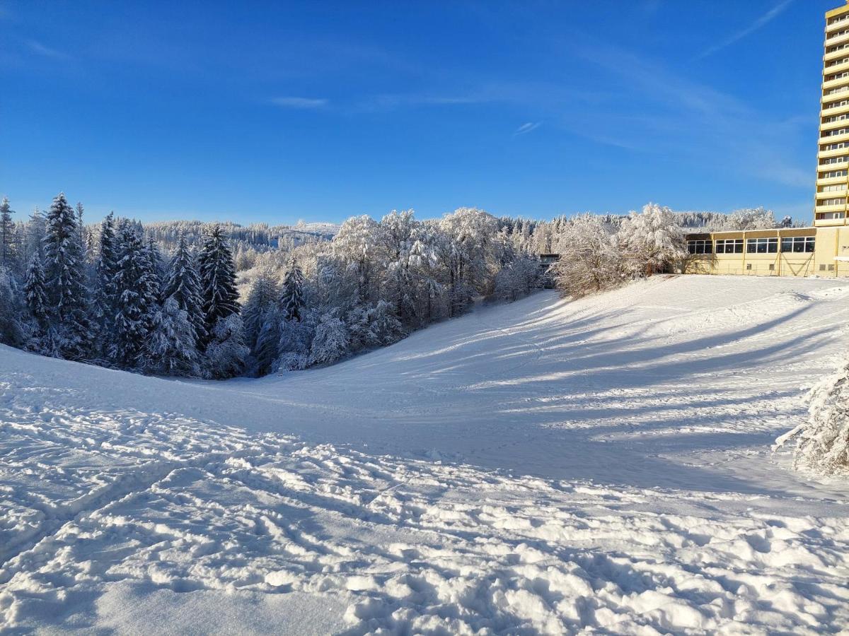 Modernisierte Ferienwohnung Naturseelen Mit Schwimmbad Und Sauna Braunlage Luaran gambar