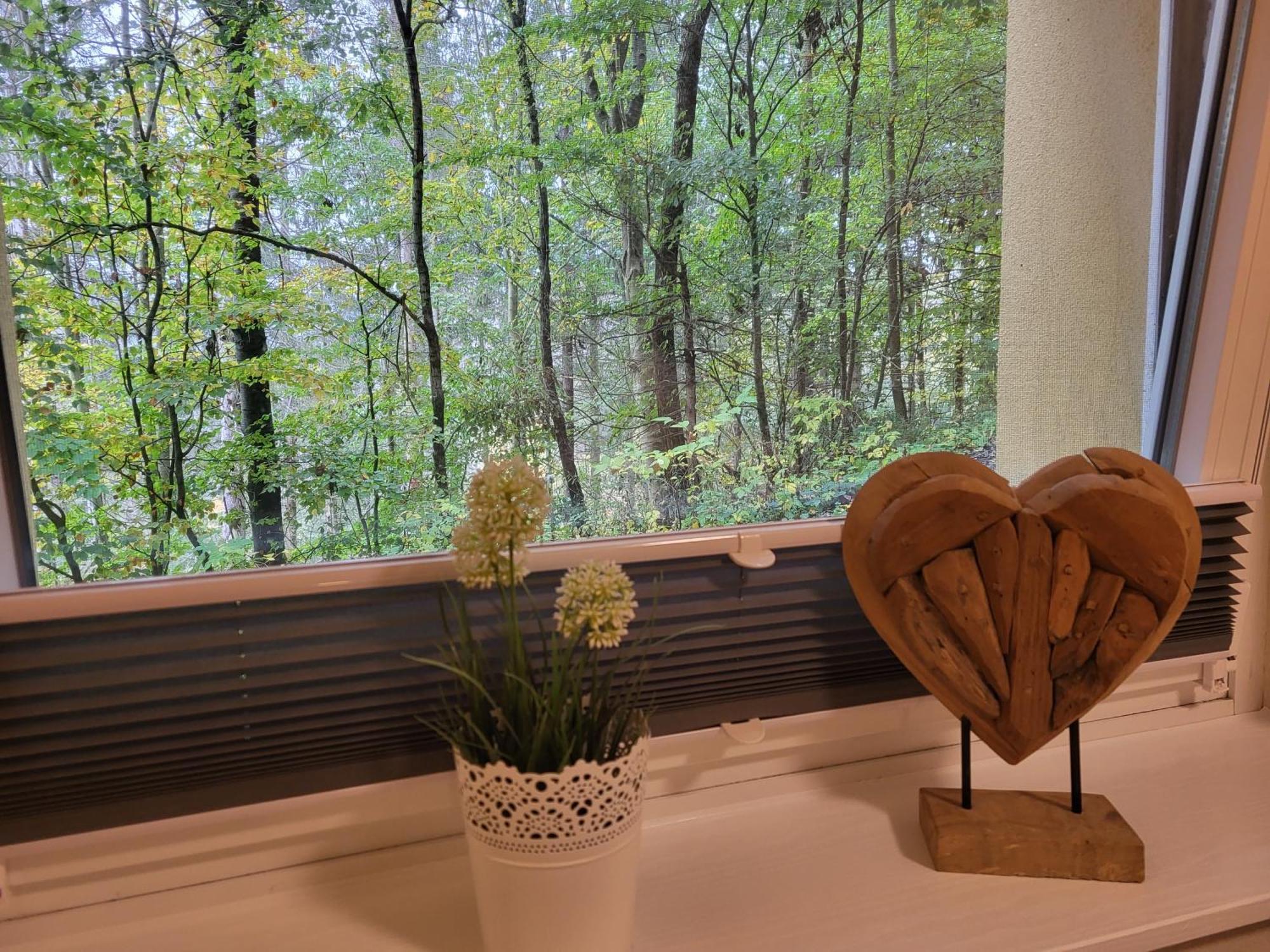 Modernisierte Ferienwohnung Naturseelen Mit Schwimmbad Und Sauna Braunlage Luaran gambar